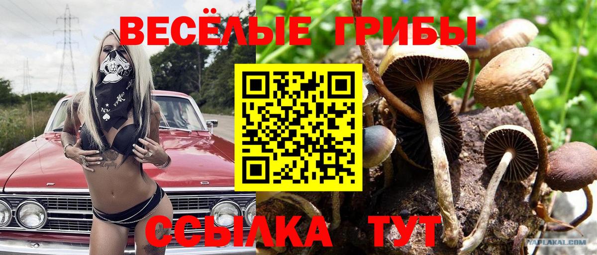Галлюциногенные грибы ЛСД Асбест